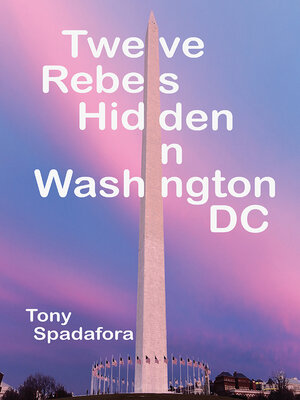 cover image of Twelve Rebels Hidden in Washington, DC
